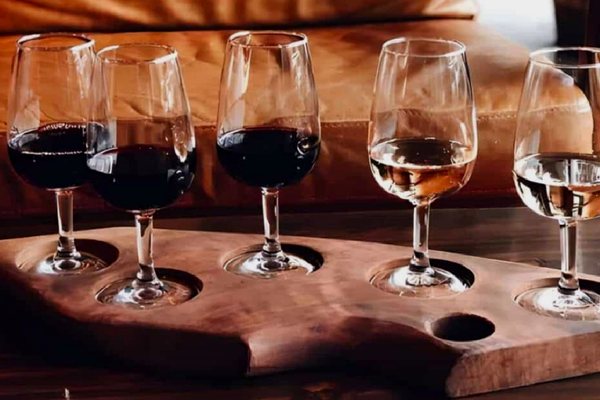Wine Journey